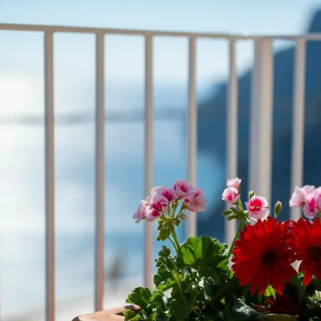 Le Ali Sul Mare,Near Elevator, Few Steps,Parking Villa Positano Exterior photo